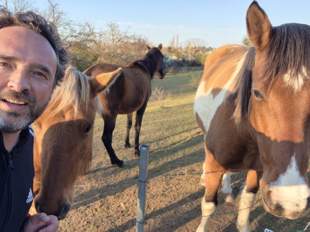Stephane-Lejeune-méthode-systor-360